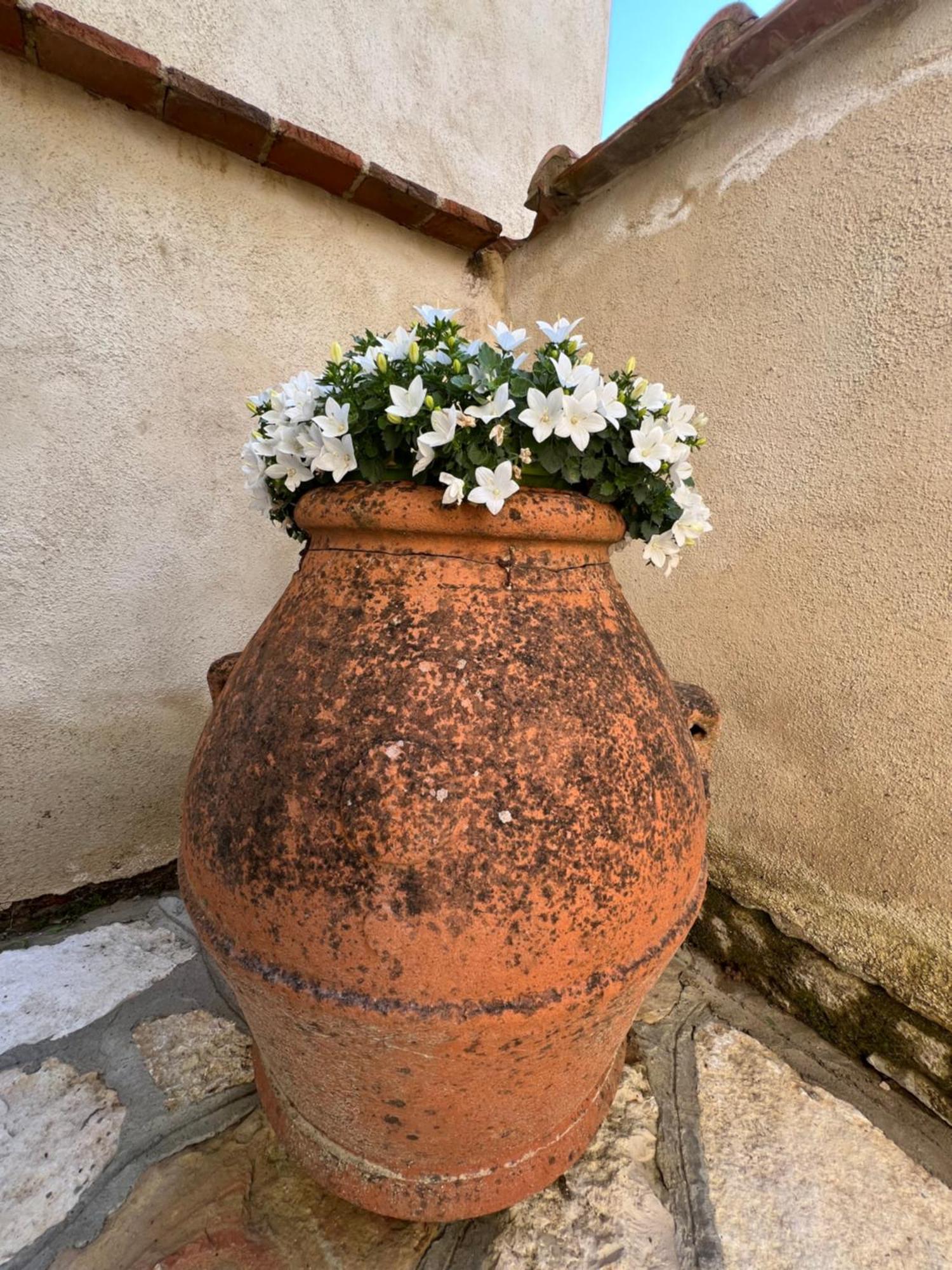 Molino Di Cogno Apartment Castellina in Chianti Exterior foto