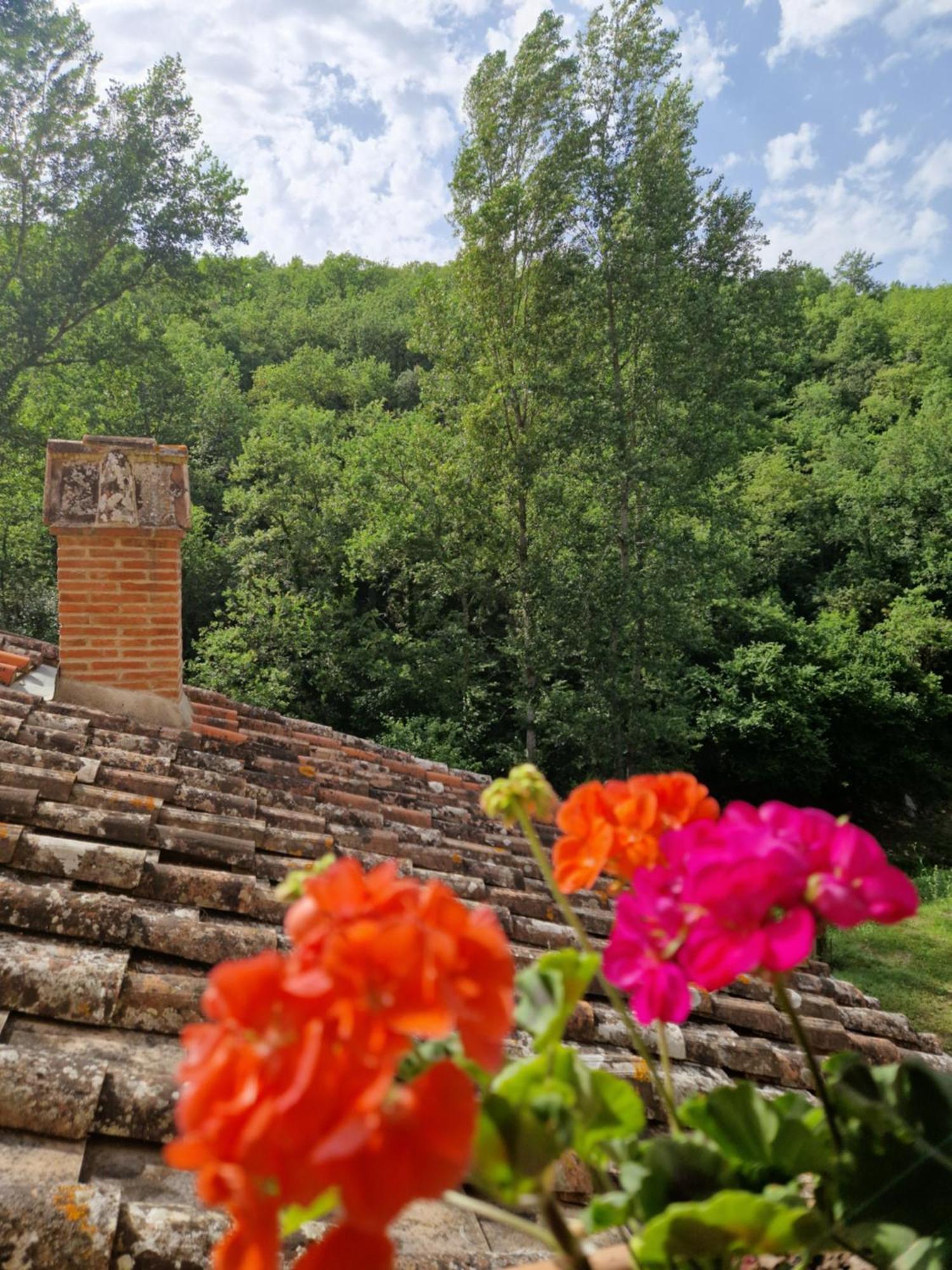 Molino Di Cogno Apartment Castellina in Chianti Exterior foto