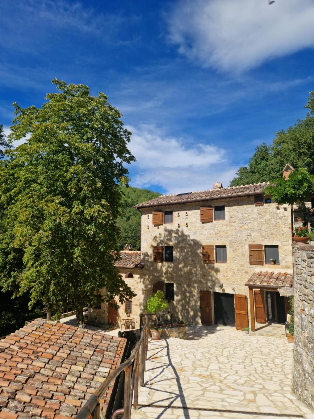 Molino Di Cogno Apartment Castellina in Chianti Cameră foto