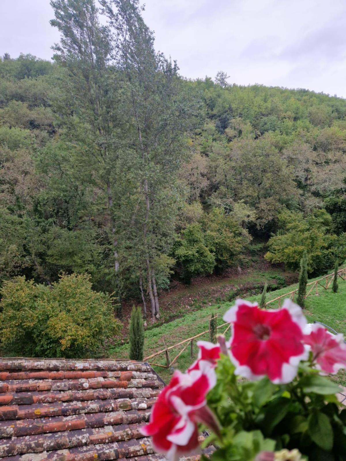 Molino Di Cogno Apartment Castellina in Chianti Exterior foto