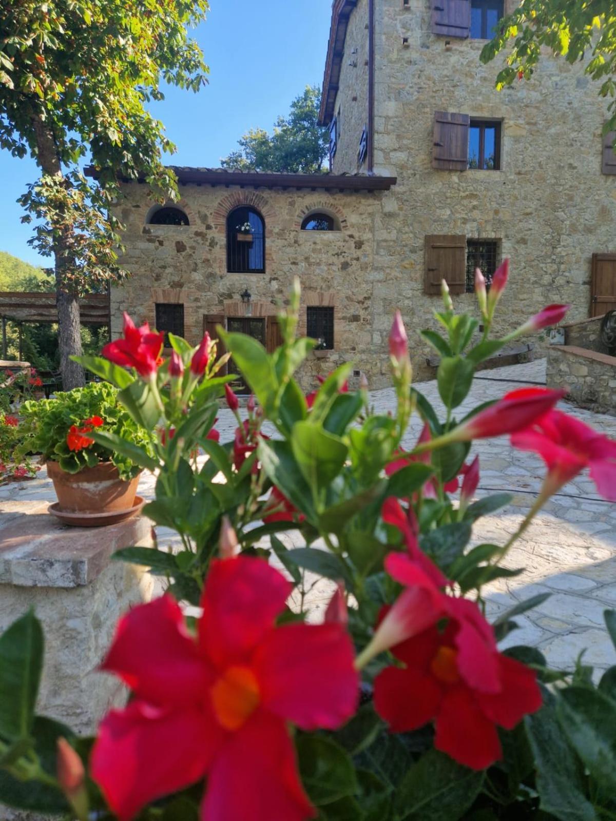 Molino Di Cogno Apartment Castellina in Chianti Exterior foto