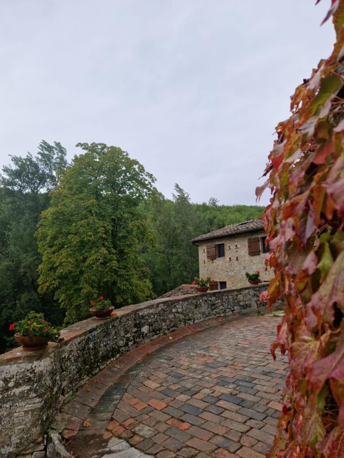 Molino Di Cogno Apartment Castellina in Chianti Exterior foto