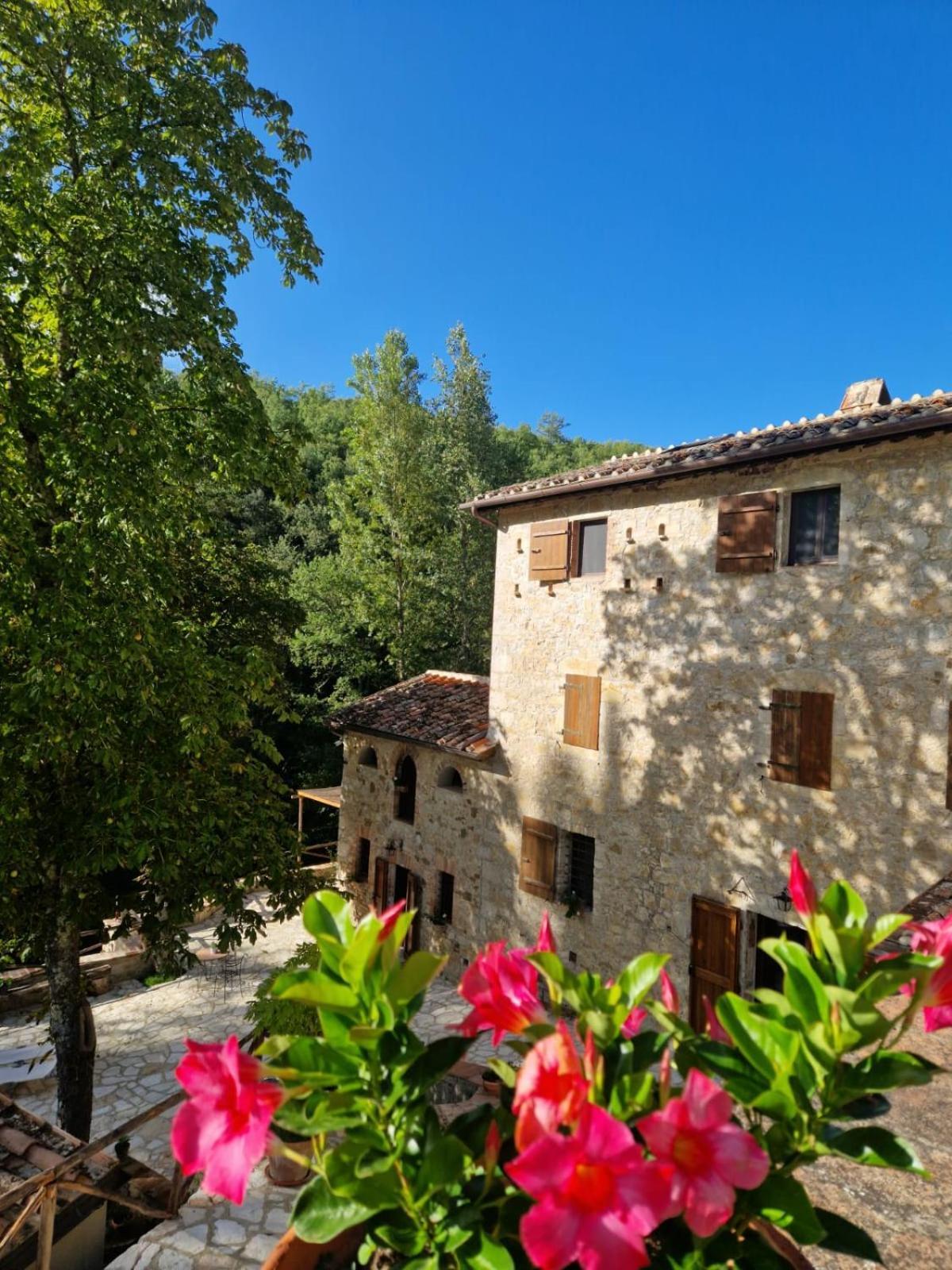 Molino Di Cogno Apartment Castellina in Chianti Exterior foto