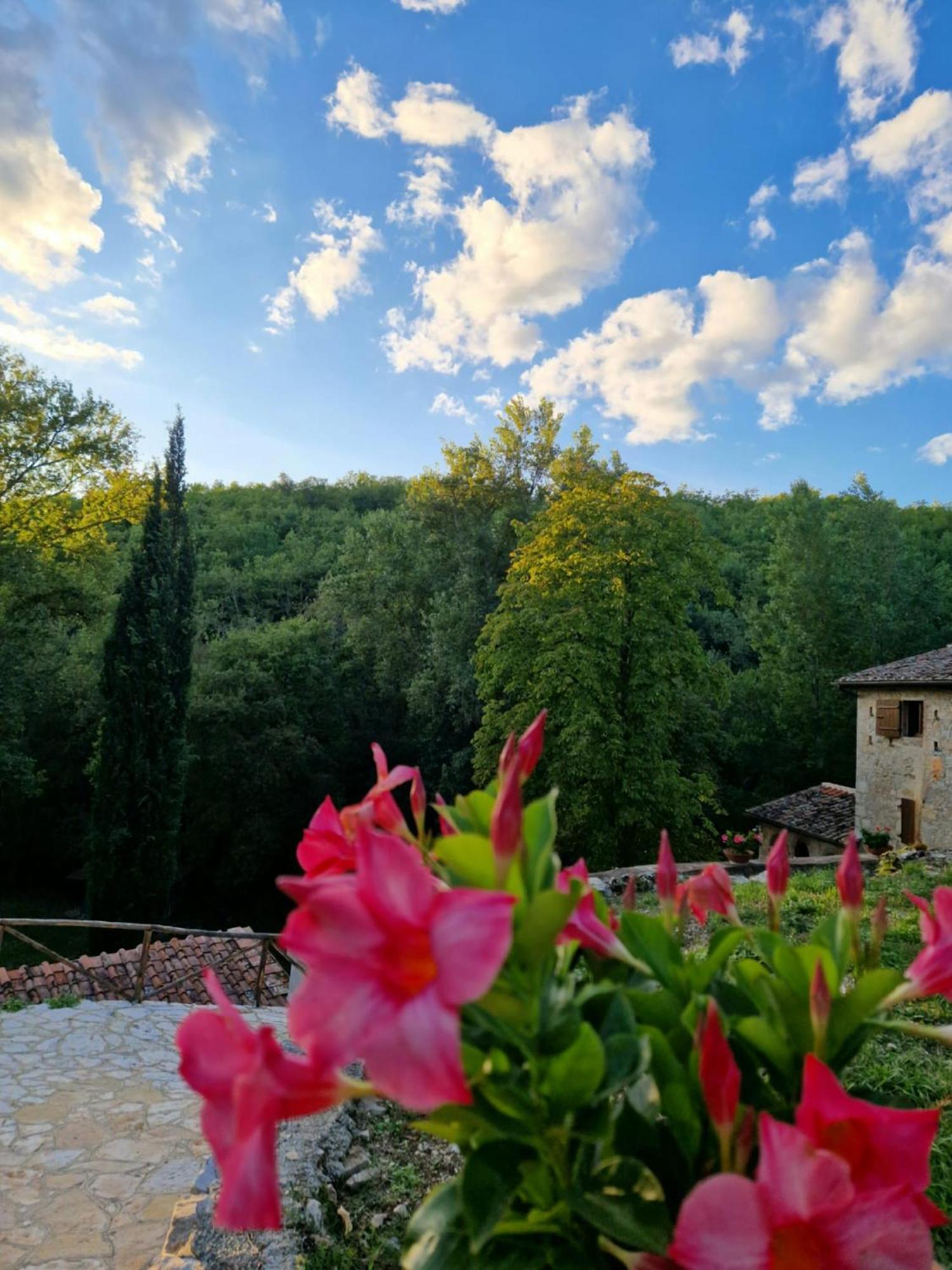 Molino Di Cogno Apartment Castellina in Chianti Exterior foto