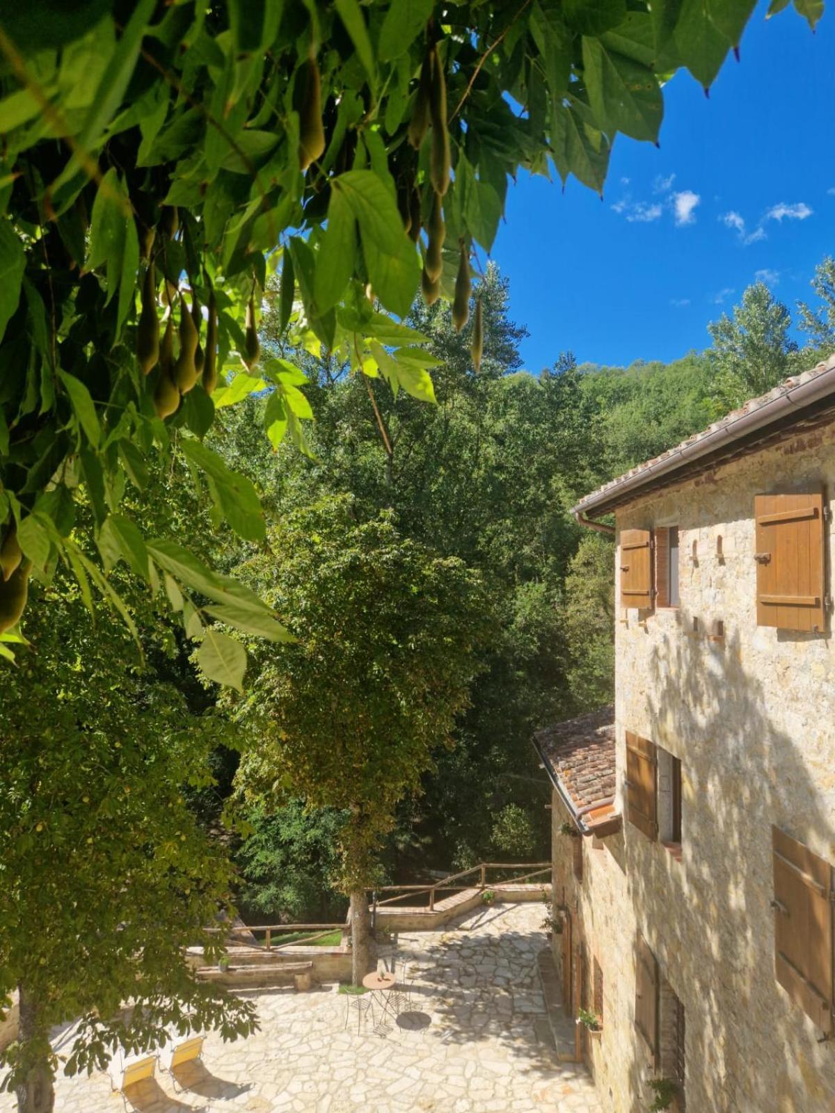 Molino Di Cogno Apartment Castellina in Chianti Cameră foto