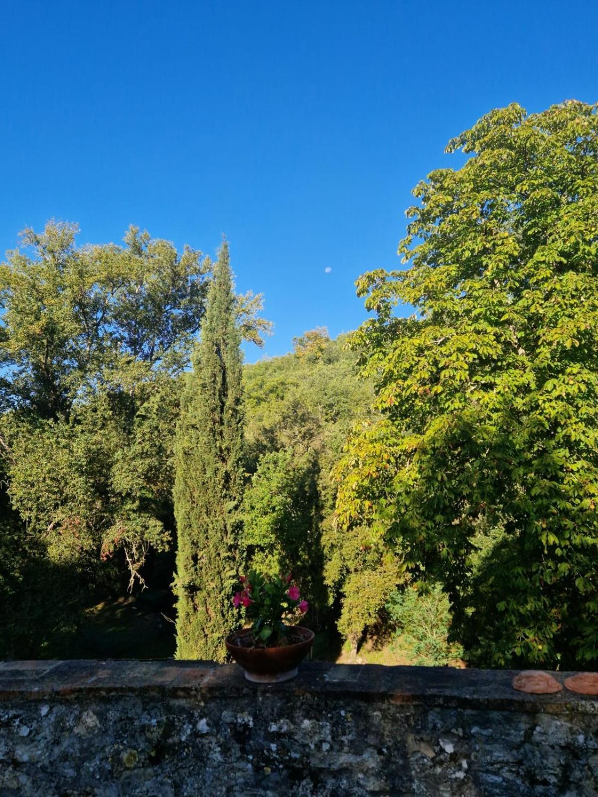 Molino Di Cogno Apartment Castellina in Chianti Cameră foto