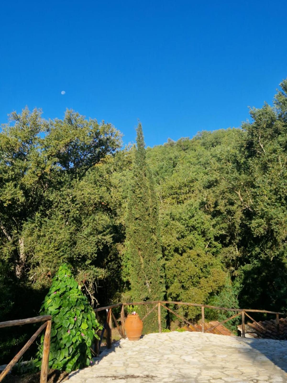 Molino Di Cogno Apartment Castellina in Chianti Exterior foto