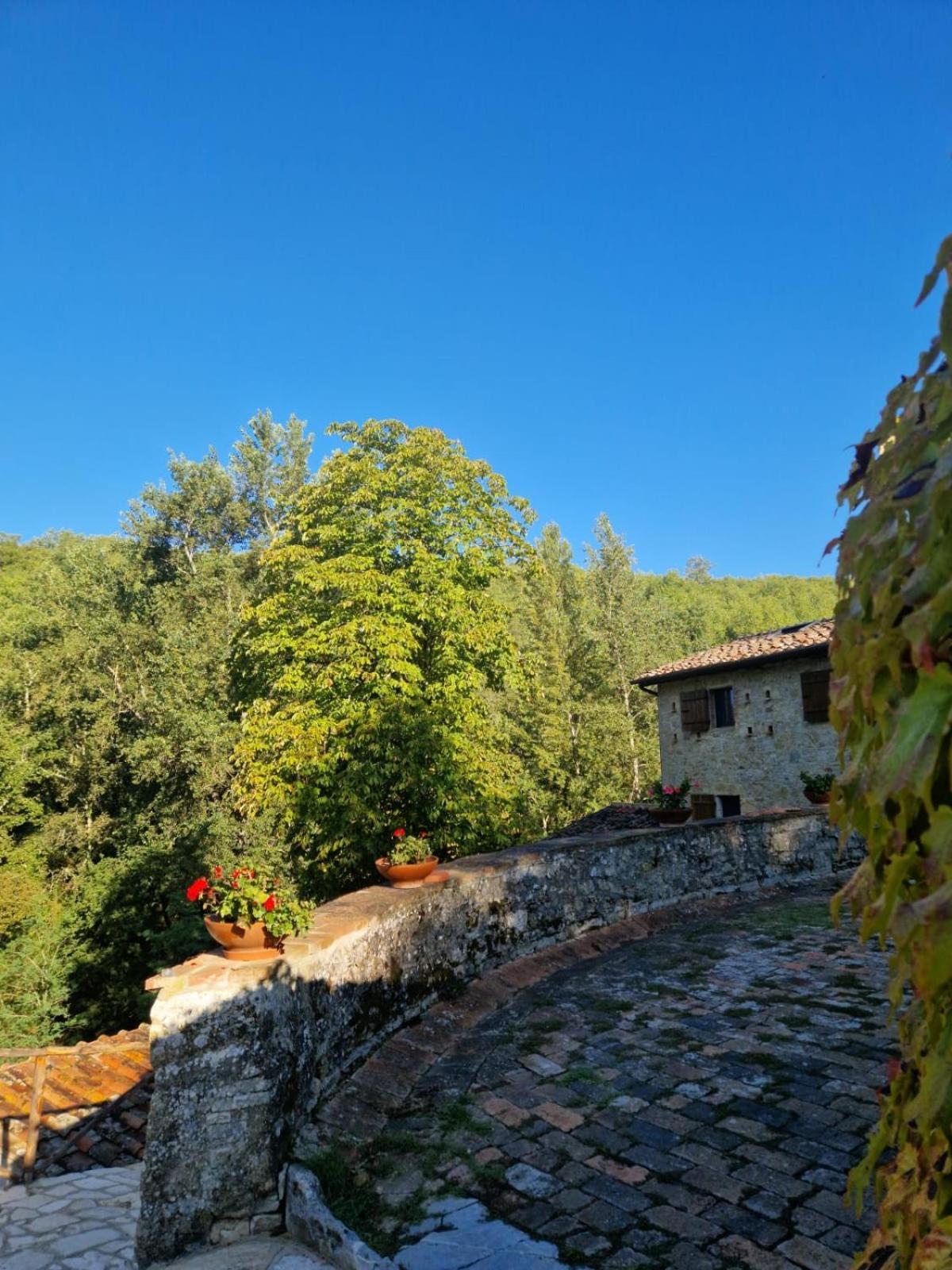 Molino Di Cogno Apartment Castellina in Chianti Exterior foto