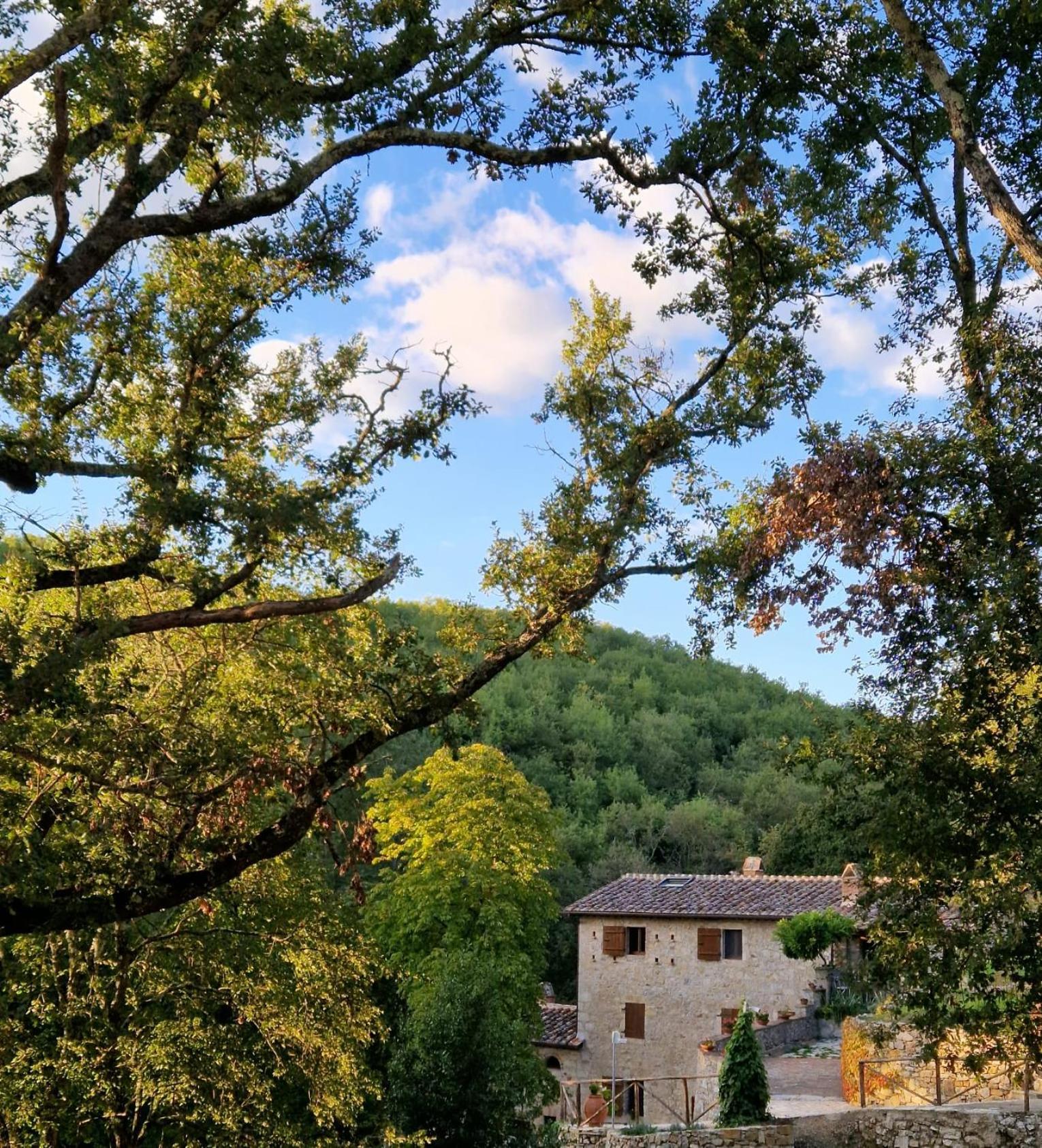 Molino Di Cogno Apartment Castellina in Chianti Exterior foto