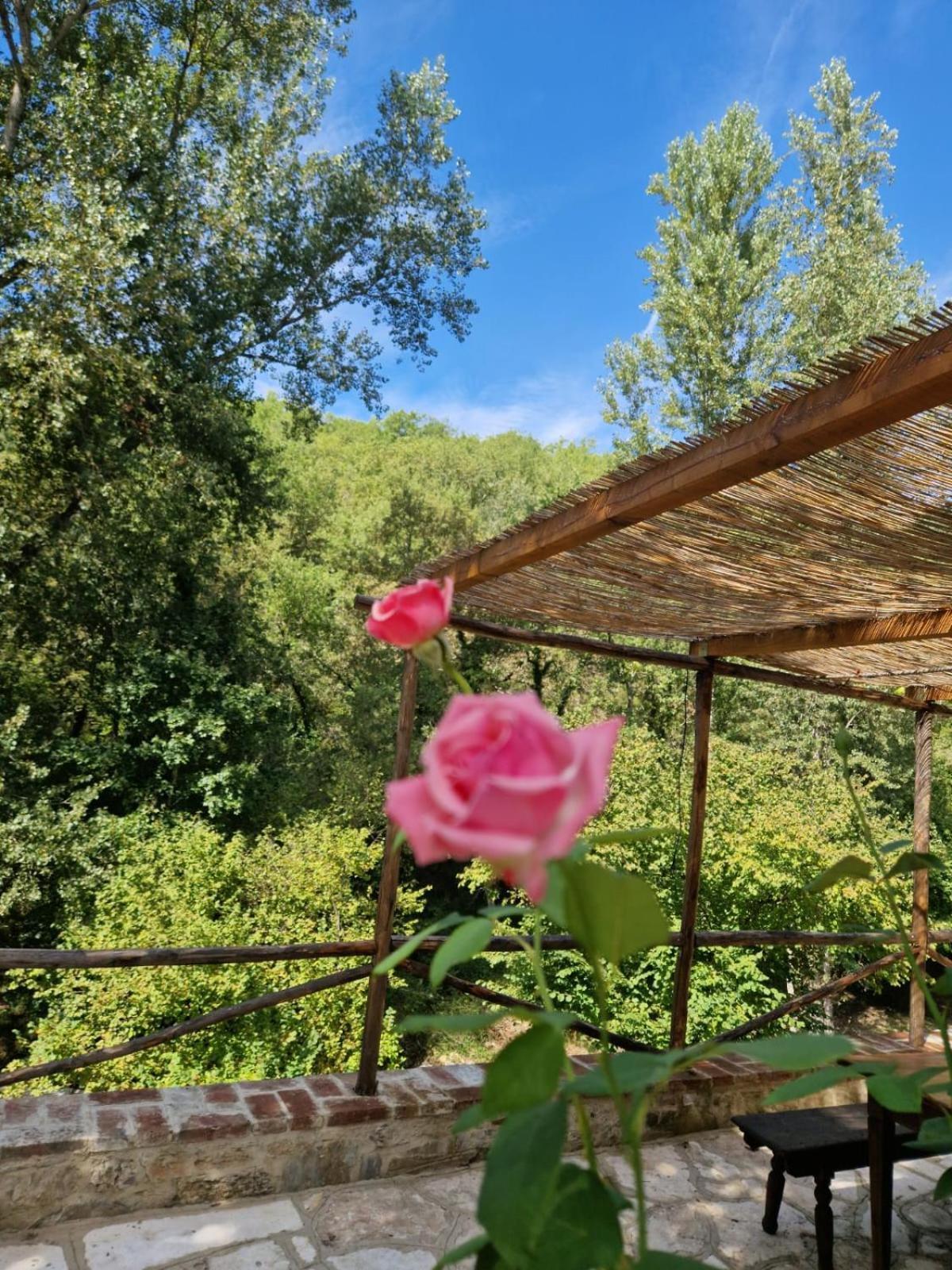 Molino Di Cogno Apartment Castellina in Chianti Exterior foto